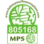 Vignet MPS-ABC EN-805168.png